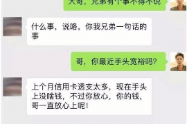 儋州遇到恶意拖欠？专业追讨公司帮您解决烦恼