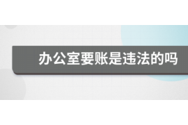 儋州为什么选择专业追讨公司来处理您的债务纠纷？